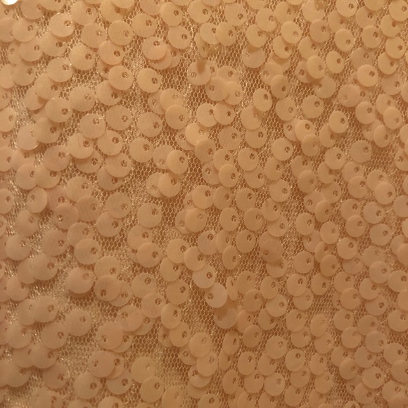 💗💗💗J Crew pink sequined top, size XL - Picture 3 of 4